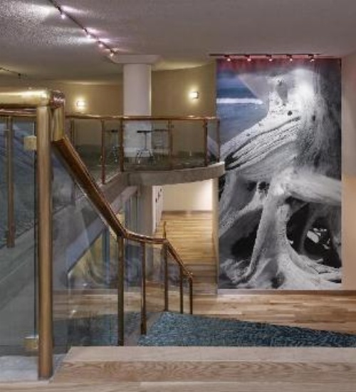 Radisson Blu Toronto Downtown image 17
